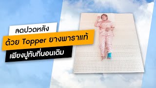 นอนปวดหลังช่วยได้ด้วย Topper ยางพาราแท้ แค่ปูทับที่นอนเดิม