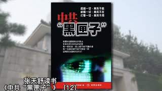 “洋贿赂”横行无忌，皆因纪委不反腐，行贿手段“本土化”；中纪委连非洲反腐机构都不如；网民版的“非洲腐败路线图”；大小太子党：地位决定命运；有中纪委，就有“洋贿赂”《中共“黑匣子”》12｜张天舒读书