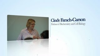 Unconventional Education at Rice University: Cindy Farach-Carson