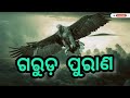 ଗରୁଡ଼ ପୁରାଣ। ବିପଦ ସମୟ ଆସିବା ପୂର୍ବରୁ ଆପଣଙ୍କୁ ପ୍ରକୃତି ଦେଇଥାଏ ଶୁଭ ଓ ଅଶୁଭ ସଂକେତ। @radheradhe02