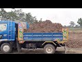 สายแบกทีมงานโชคนิธิ ดั้มแบกเต็มกล่อง ford 8210 kubo m7040 แรงทั้งคู่ tractor and truck ep.6499