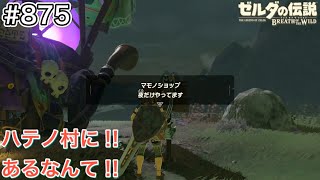 【#875】ハテノ村にマモノショップあり！[ゼルダの伝説 ブレスオブザワイルド]