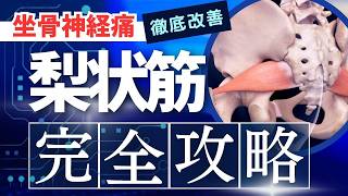 梨状筋完全攻略！坐骨神経痛へのストレッチ効果が倍増する解剖学！