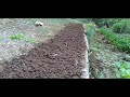 seedbed preparation