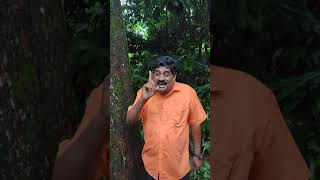 #30lakh profit   കാട്ടുവേപ്പ്  #shorts #voiceofkitchen