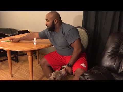 how to get rid of demodectic mange how to get rid of demodectic mange