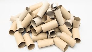 Stop Throwing Away Empty Toilet Rolls, 6 ways To Reuse them Again