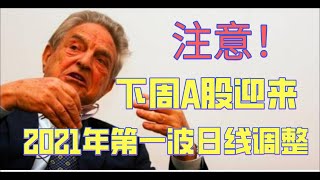 重磅公布四季度公募基金增持买入了哪些个股？！注意我们大幅止盈减仓！下周A股将迎来2021年第一波真正的日线调整！散户应该如何应对？（20201/1/24股市预测）【炒股的权哥】