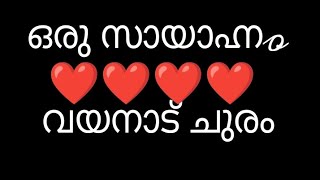 വയനാട് താമരശ്ശേരി ചുരം വൈകിട്ട് ഉള്ള കാഴ്ചാ #ytfeed #ytchanal #ytvideo #ytwynad #yttravel #travel