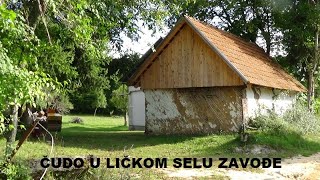 LIČKO ČUDO U LIČKOM SELU ZAVOĐU