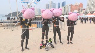 겨울바다에 '풍덩'…해운대 북극곰 축제 개막 / 연합뉴스TV (YonhapnewsTV)