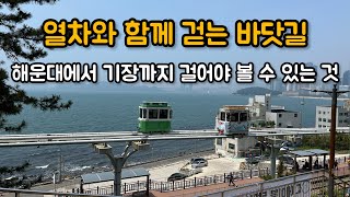 눈이 즐거운 해파랑길 2코스 | 1코스 보다 좋아요