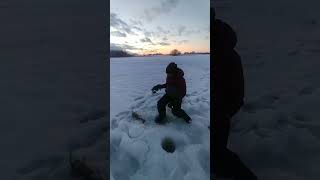 বরফের মাঝে লুকিয়ে থাকা মাছ Fish hiding in the ice