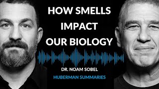 Summary of Dr. Noam Sobel: How Smells Influence Our Hormones, Health & Behavior