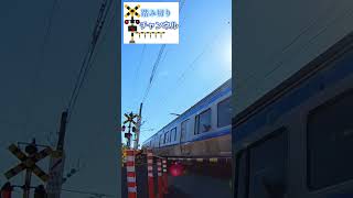 踏切 JR東北本線 - Railroad crossing JR Tohoku Line in Japan 2023.3ショート