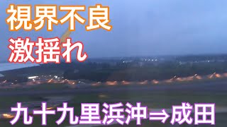 視界不良・激揺れでのハードランディング 成田空港