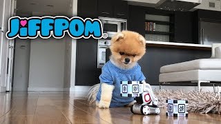 Jiffpom and Cozmo the Robot