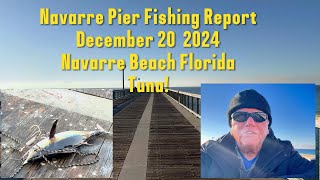 Navarre Beach Pier Fishing Report #32 for December 20, 2024. Underwater Fish Camera