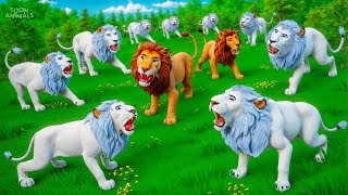 Lion Kings Animal Kingdom Battle - White Lions vs Yellow Lions in an Epic Wildlife Showdown 2025