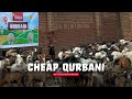 Cheap Qurbani