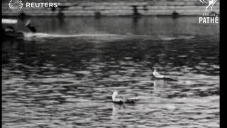 Philadelphia Gold Cup sculling race (1925)