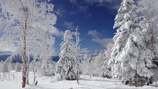 クリスマスの縞枯山