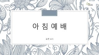 포도나무교회 아침예배 250204