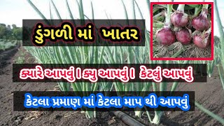 ડુંગળીમાં ખાતર ક્યારે ક્યું અને કેવી રીતે આપવું l ખેતીકા સાગર તળાજા