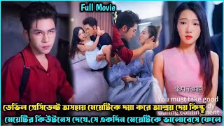 ডেভিল প্রেসিডেন্ট V's অসহায় মেয়ে❣️Romantic Drama Explain Bangla.Romantic Movie Explain Bangla.