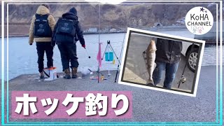 【北海道 釣り】in積丹、岩内。ホッケを釣りに行ってきました。