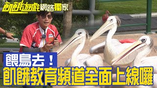 【獨家】飢餓教育頻道全面上線囉！水族館後帶你看鳥園／孫協志 王仁甫 許孟哲 蔡黃汝 峮峮 彭小刀 曾子余 徐瑋吟 林采緹／EP311_ 20230101