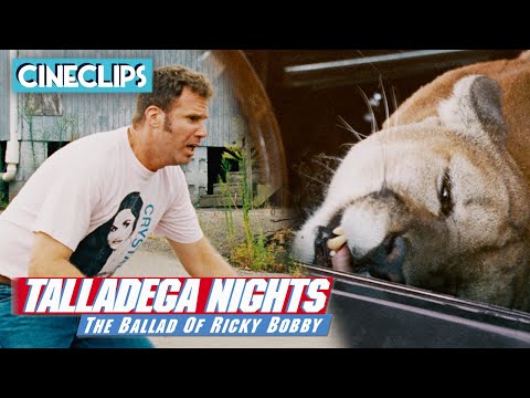 What is the Cougars name in Talladega Nights?