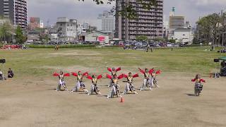 「 一誓 」どまつり夜桜in岡崎2018【多目的広場】