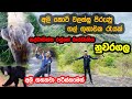 Nuwaragala Camping | අලි කොටි වලස්සු  එක්ක නුවරගල රැයක් #nuwaragala #youtube #shorts #travel #2024