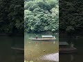 Boating with Dining in Ukyo Ward Kyoto Japan ||