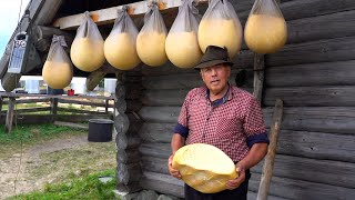 Viața la stână cu baciu Coperzan în Muntii Rarău | Cum se face brânza de calitate în Bucovina? Ep1