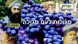 סגולות לזיווג הגון מרבותינו הקדושים השיעור מפי הרב ישראל סלרי