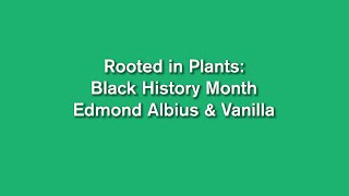 Rooted in Plants: Edmond Albius and the Vanilla Orchid