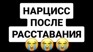 Как нарцисс переживает расставание 😭