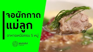 'จอผักกาดแม่ลูก' อาหารเหนือครบ 5 หมู่ [ทำอาหาร by Mahidol Channel]