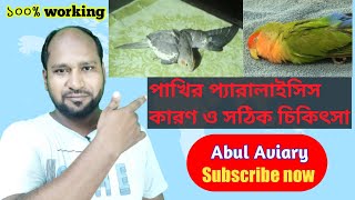 Bird Paralysis. পাখির প্যারালাইসিস হলে কিভাবে চিকিৎসা করবেন?