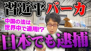 習近平バカって日本で言うと中国に捕まる！？日本に留学していた香港女性が捕まった！