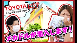 潜入！！トヨタ自動車大学校へ潜入レポ！自動車大学校ってどんなとこ？【メカニックTV】