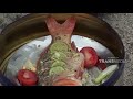 memasak ikan mas dengan alat seadanya namun tetap lezat harmoni alam