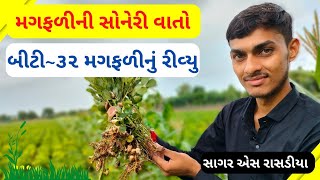 બીટી 32 મગફળીનું રીવ્યુ || મગફળીની સોનેરી વાતો || મગફળી || BT32 Magfalinu Review || Magfali Na Bhav