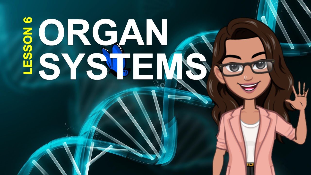 EARTH AND LIFE SCIENCE Quarter 2 - ORGAN SYSTEMS - YouTube