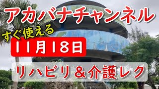 【11月18日にすぐ使えるリハビリ＆介護レク】アカバナ