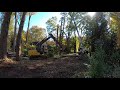 Dropping Tall Trees To Clear a HomeSite