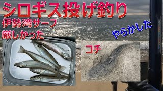 エギン亭  シロギス　釣って、捌いて、料理するよ　釣り#42