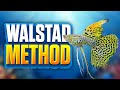 7 Walstad Method Myths Debunked: What Dianna Walstad Really Says You Should Do In Your Planted Tank!